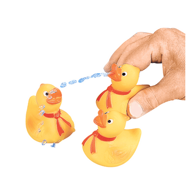 squirt duck prize